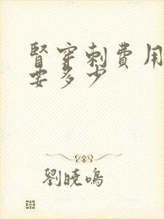 肾穿刺费用大概要多少