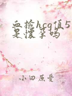 血检hcg值5是怀孕吗