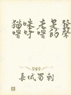 猫咪老是发出呼噜呼噜的声音是怎么回事