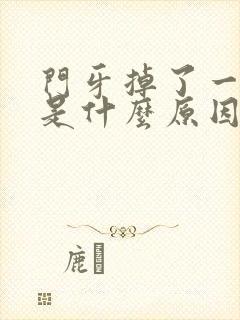 门牙掉了一小块是什么原因