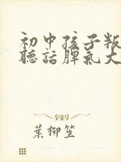 初中孩子叛逆不听话脾气大不学习