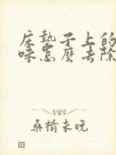 床垫子上的猫尿味怎么去除