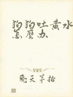 狗狗吐黄水拉稀怎么办