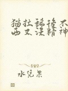 猫拉稀后不吃东西又没精神怎办