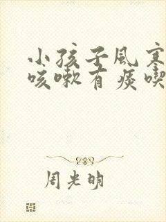 小孩子风寒感冒咳嗽有痰吃什么药