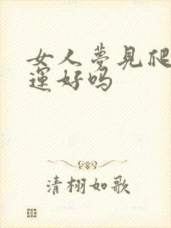 女人梦见爬树财运好吗