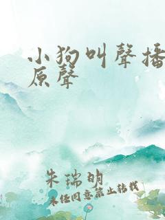 小狗叫声播放纯原声