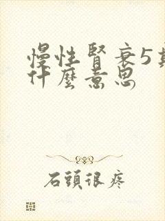 慢性肾衰5期是什么意思