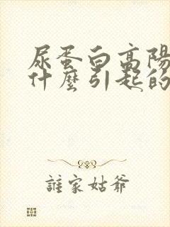 尿蛋白高阳性是什么引起的