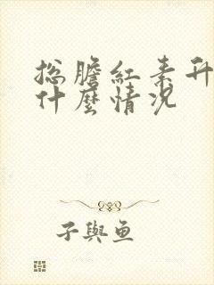 总胆红素升高是什么情况