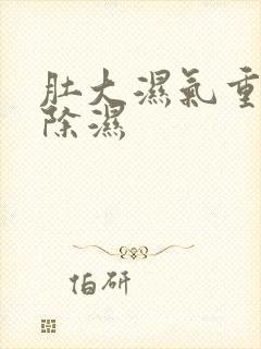 肚大湿气重怎么除湿