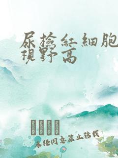 尿检红细胞高倍视野高