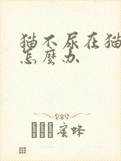 猫不尿在猫砂里怎么办