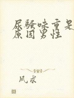 尿骚味重是什么原因男性