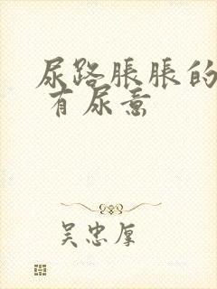 尿路胀胀的感觉 有尿意