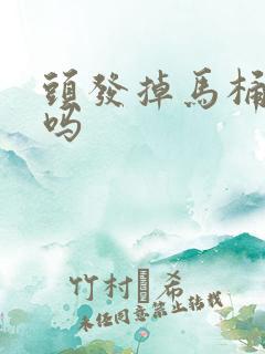 头发掉马桶会堵吗