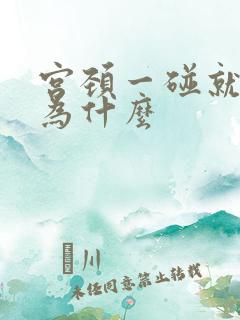 宫颈一碰就出血为什么