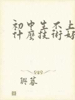 初中生不上学学什么技术好