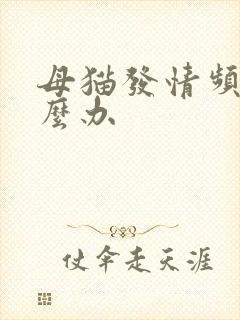 母猫发情频繁怎么办