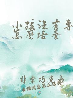 小孩没有专注力怎么培养