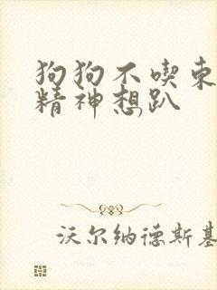 狗狗不吃东西没精神想趴