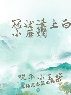 冠状沟上白色的小糜烂