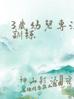 3岁幼儿专注力训练