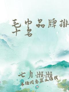 毛巾品牌排行前十名