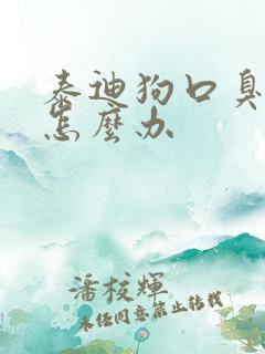 泰迪狗口臭严重怎么办