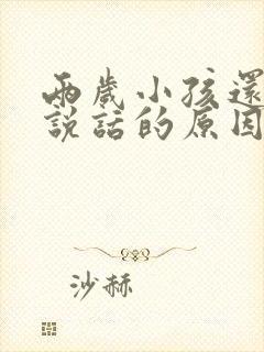 两岁小孩还不会说话的原因