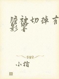 胆被切掉有什么影响