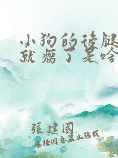 小狗的后腿突然就瘸了是啥原因