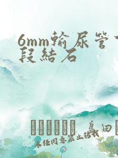 6mm输尿管下段结石