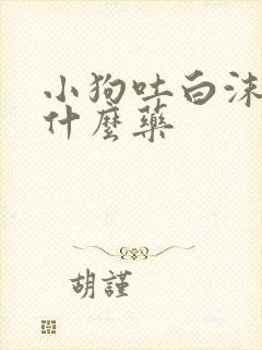 小狗吐白沫该吃什么药