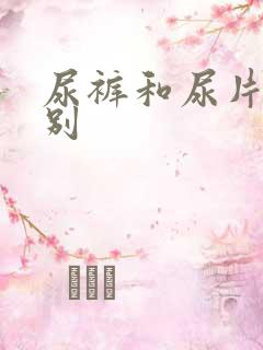 尿裤和尿片的区别