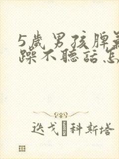 5岁男孩脾气暴躁不听话怎么办