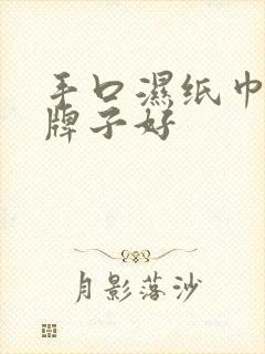 手口湿纸巾哪个牌子好