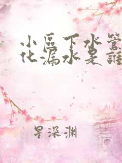 小区下水管道老化漏水是谁的责任