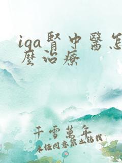 iga肾中医怎么治疗