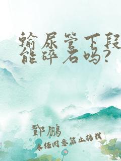 输尿管下段结石能碎石吗?