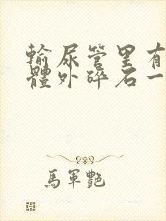 输尿管里有结石体外碎石一般多少钱