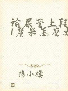 输尿管上段结石1厘米怎么办?