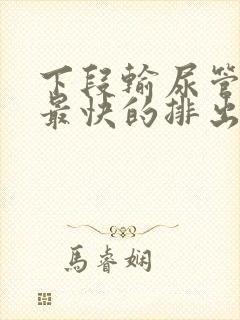 下段输尿管结石最快的排出方法