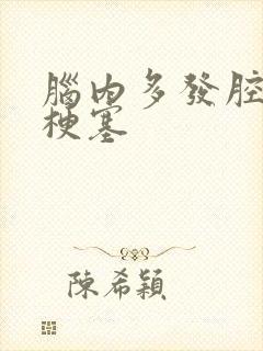 脑内多发腔隙性梗塞