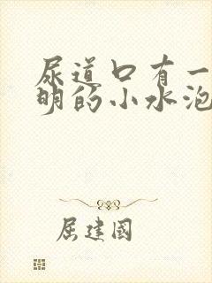 尿道口有一个透明的小水泡