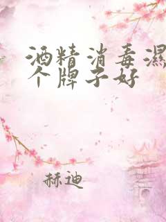 酒精消毒湿巾哪个牌子好