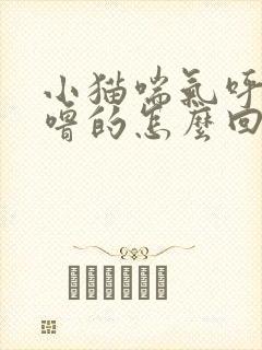 小猫喘气呼噜呼噜的怎么回事