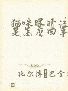 猫咪眼睛流眼泪是怎么回事