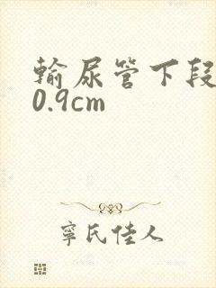 输尿管下段结石0.9cm