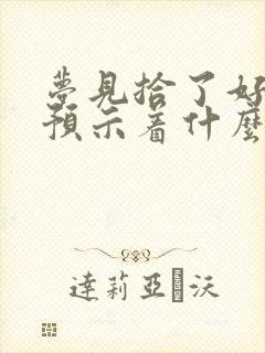 梦见拾了好多钱预示着什么